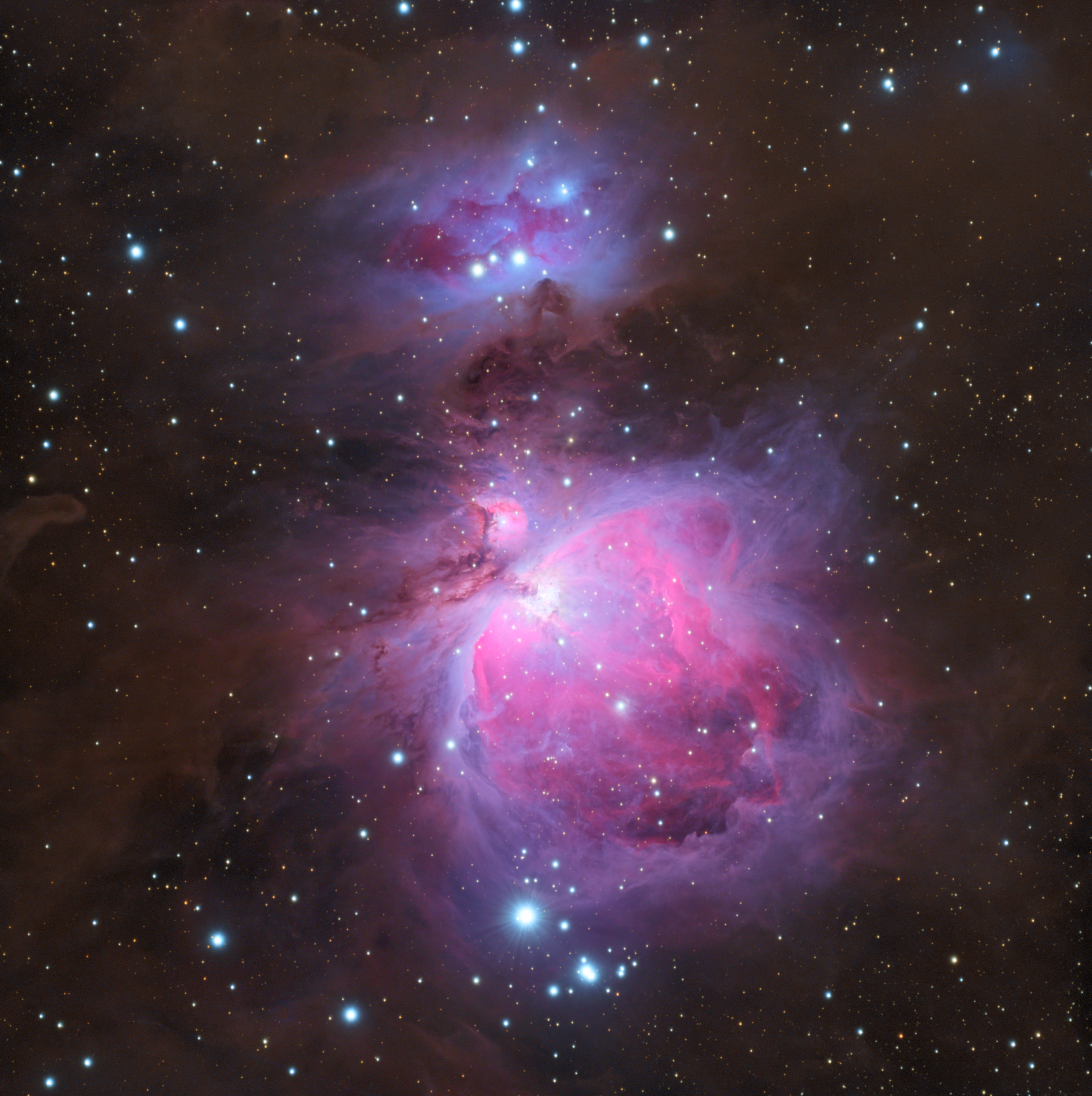 Orion Nebula